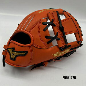 ~Ym ChLbY O[u N 5S I[Eh  E  Mizuno q 1AJGY33900