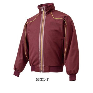 グランドコート ミズノプロ 野球 冬 グラウンドコート ミズノ・送料無料 MizunoPro 12JE4G01