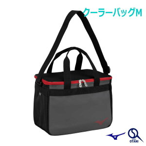 N[[obOM 12L ۗ V_[ ~Ym i 1FJYB30196