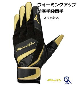 EH[~OAbv h ~Ymv 싅 obeBOO[u  W MizunoPro 1EJET040