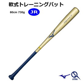 ミズノ トレーニングバット ジュニア 野球 プロフェッショナル W 木製バット 限定品 MIZUNO 打撃可 1CJWT23780