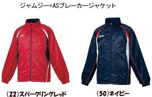 ԕis AVbNX EChu[J[WPbg Y asics WW[ AS u[J[WPbg g[jOEFA X|[c j SSTCY ASICS WW[ASu[J[WPb