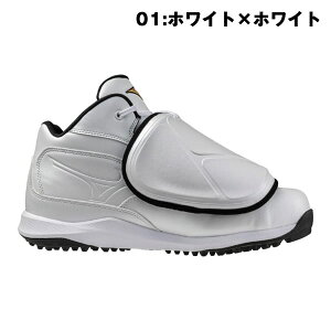 ~Ymv 싅 R V[Y Rp NbV{v ApCA Ch݌v 3E V[Yܕt 11GU2500 RpV[Y  ApCA C