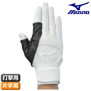 ~Ym@싅ŎҗpveN^[sЎpt 1EJET110 iEEEŎҗpj1EJET111 iEŎҗpj19