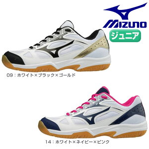 シューズ ドッジボール バレーボールの通販 価格比較 価格 Com