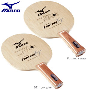 ~Ym 싅Pbg tHeBEX FT OEwU^Cv 18TT21055 19