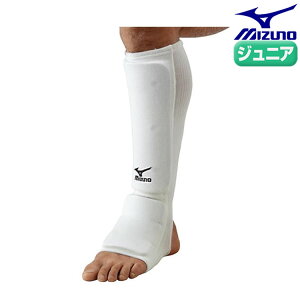 ~Ym  ˁEpT|[^[ WjAiБjt[TCY 23JHA655  iZ