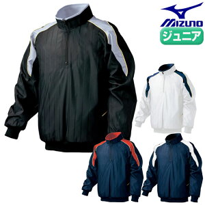 ~Ym 싅 WjAEn[tZIPWPbg(2013Ef) \f 52wj387_19 Np