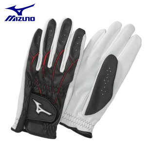 ~Ym p[NSt O[u 􂦂 rv () Y St^Cv p[NSt  C3JGP804