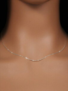 [ 812xł͂\ ] WG[ fB[X lbNX y_g Vvłȃ`F[lbNXÃfC[EFAɓK߉\1