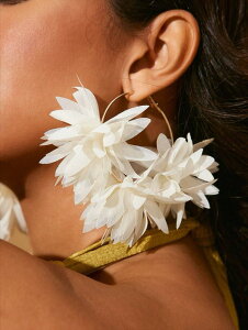 [ 812xł͂\ ] WG[ fB[X C[ANZT[ pXe[ggnt@bVԂt[vsAX