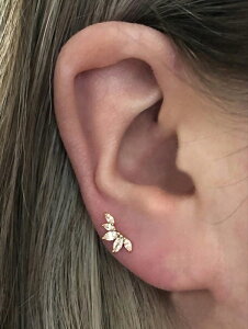 [ 812xł͂\ ] WG[ fB[X C[ANZT[ X^bhsAX t@bV L[rbNWRjA fR[V fB[X VvȃfUC ґ18