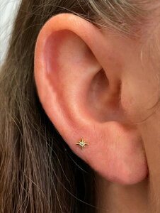 [ 812xł͂\ ] WG[ fB[X C[ANZT[ 1 ~jp`X^[ 925X^[OVo[ sAX fB[XABe[W sAXV[  uC_