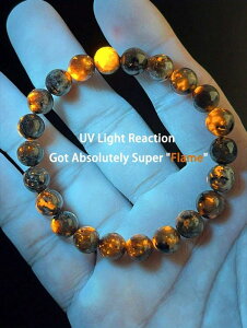 [ 812xł͂\ ] WG[ Y uXbg 1 d΃r[YuXbgAŐr[YuXbg t@bV Y fB[X GXeBbN K `[