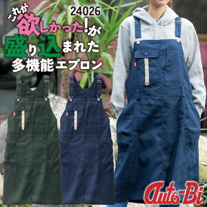 AUTO-BI [NGv t H~  Y fB[X Xgb` z ѓdh~ y ʋC K[fjO DIY { 킢 d  RcC ab-24026