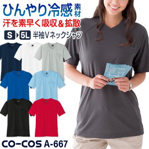 R[RX ڐG⊴ z VlbN TVc  hC  Ђ ΍ n Vv t ƕ ƒ X|[c K W AEghA Y fB[X lCr[ zCg 