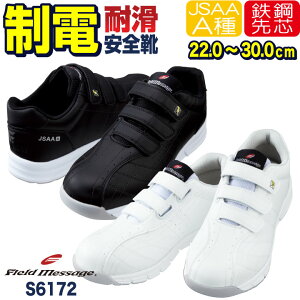 d Z[teB[V[Y }WbN JSAA-A퍇ii X`[c [Jbg Y fB[X SC SXj[J[ d Ռz ϊ JICHODOZ[teBXj[J[ t H~ jd-s6172