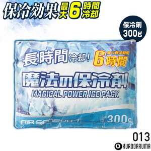 N_} ۗ300g Pi t H~  Y fB[X  󒲃EFA  [lR|X] kd-013