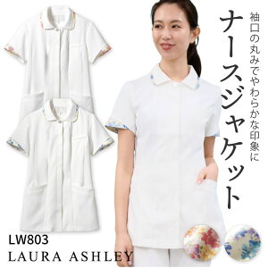 [AVC LW803 i[XWPbg fB[X Zu   jtH[ ×p NjbN i[X Ōt m f^ ȉqm eT GXe  W