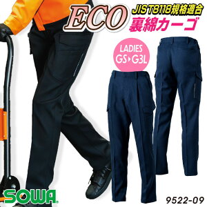 SOWA J[Spc H~ pc fB[X p ECO d  JIST8118KiK ƕ d  [Npc ƃY{ sw-9522-08-ladys