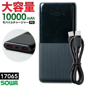 SOWA 10000mAh ���o�C���`���[�W���[ USB�P�[�u�� �f�o�C�X ���o�C���o�b�e���[ EF�E�F�A �󒲃E�F�A �󒲍�ƕ� �t�@���t���E�F�A ��e�� ���^ �����΍� �M���Ǒ΍� �K�a sw-17065