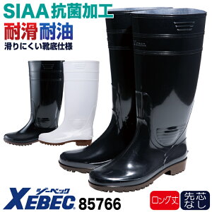 W[xbN R qC cȂ O ƌC Y fB[X ɂ SIAA ϊ ϖ Ɩp ~[V[Y HiH YH qǗ wZH HX  zCg  ub