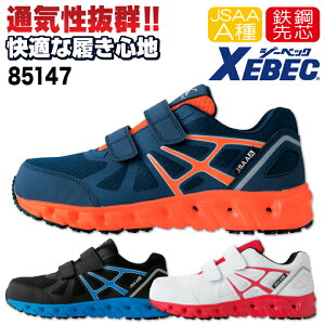W[xbN Z[teB[V[Y }WbN JSAA-A퍇ii Sc [Jbg Y fB[X SC vXj[J[ ʋC jp Ռz ϖS Xj[J[ XEBEC t H