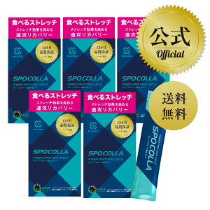 yzX|R SPOCOLLA 5Zbg^Hׂ Xgb` GX` 3 R[Qz x E F E   E  E  XeBbN[[