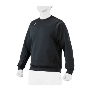 싅 ~Ym ~Ymv Xgb`XEFbgN[lbNVc mizuno gbvX g[jOEFA  12JE1AK74