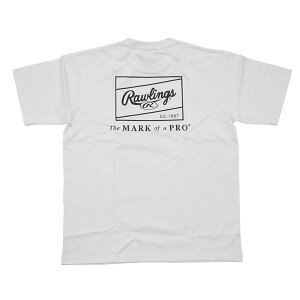 [OX  tVc obNvg TVc I[o[TCY 싅 g[jO \tg{[ 싅 AST14S08