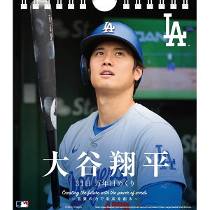 hW[X Jĕ 31 N߂J_[ 2025N CL-553 JĕI JI J ObY