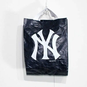 ミニトートバック バック 小バック かばん コットン 綿 ドジャース ヤンキース ネイビー キャメル シルバー 青 紺 茶 タイベック生地 INFIELDER DESIGN インフィールダーデザイン