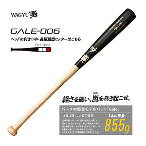 JBobg dpؐobg o[` Gale QC GALE-004 GALE-005 GALE-006 GALE-013 GALE-016 GALE-018 aJB 싅pi