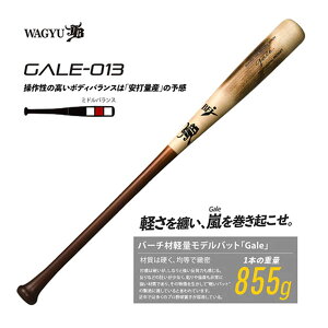 JBobg dpؐobg o[` Gale QC GALE-004 GALE-005 GALE-006 GALE-013 GALE-016 GALE-018 aJB 싅pi