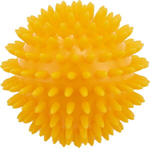 y11/27 2܂ |Cgő12{Iz _m DANNO Medium{[8 Go{[ \tg^Cv ё _炩 a8cm }bT[W si tBbglX g[jO Xgb` GNTT