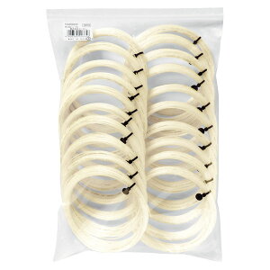 y11/30 |Cgő12{Iz S[Z GOSEN ejX ebNKbg }` CX16 dejX Kbg XgO  `[ Nu g[jO eiX ϋv z[h nCubh