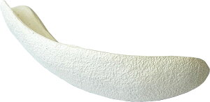 y12/1 |Cgő15{Iz jbNX UNIX gDK[hp p 12Zbg Bt ܐJo[ gD[K[h veN^[ 싅XpCN x[X{[ eiXpi  g