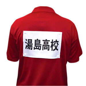 【10/30 ポイント最大10倍】 ヨネックス YONEX バドミントン ゼッケンホック 6ケ入り AC460 011