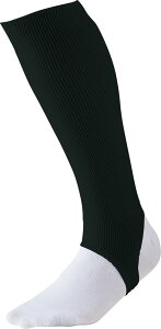 y11/20 |Cgő12{Iz [bg ZETT [JbgXgbLO x[X{[ jtH[ EGA  ANZT[ _炩 SnQ  Nu K  { 