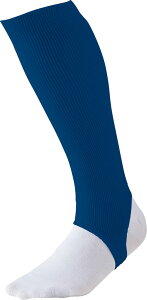 y11/20 |Cgő12{Iz [bg ZETT [JbgXgbLO x[X{[ jtH[ EGA  ANZT[ _炩 SnQ  Nu K  { 