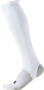 y11/20 |Cgő12{Iz [bg ZETT jp 싅E\tg{[p [JbgXgbLO EGA  ANZT[ C \bNX jtH[ t[TCY ɃtBb