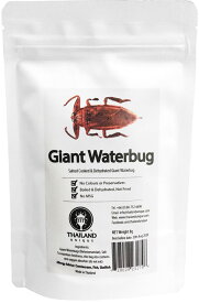 【ポイントアップ中！】 アールオーエヌ Giant Waterbugs8g タガメ8g スポーツ TIU0012