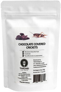 �y20������ �|�C���g�ő�15�{�I�z �W�F�C�A�[�����j�[�N JR Unique Chocolate coated big crickets �`���R���[�g�R�I���M �X�|�[�c TIU2002