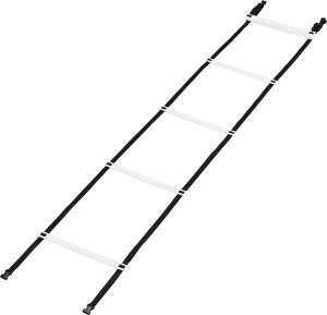 【10/30 ポイント最大10倍】 カネヤ KANEYA トレーニングラダーAT6 K-3041 学校体育器具 学校備品 器具 学校 体育 部活 授業 運動会 体育祭 レクリエーション 体力 トレーニング K3041