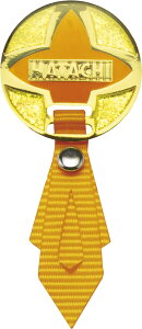 n^` HATACHI {}[J[2 OEhEStpi BH6074 45