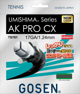 �y�|�C���g�ő�10�{�I�z �S�[�Z�� GOSEN �e�j�X �E�~�V�} AK �v�� CX 17 TS761BKS