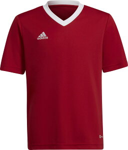 y9/30 |Cgő10{z AfB_X adidas TbJ[ Entrada 22 W[W[ TVc gbvX qǂ LbY WjA TbJ[EFA K ړ ւ g[jO ؃g  N