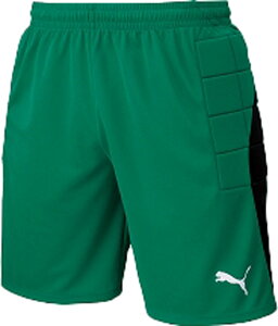 y11/18 |Cgő12{z v[} PUMA TbJ[ LIGA WjA GKpc pbht Y fB[X S[L[p[EFA {gY Y{ n[tpc S K  Nu  z