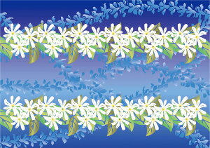 y12/1 |Cgő15{Iz AXJ ASKA } nCAoX^I C 90×130cm ^I v[ C }X|[c X|[c^I z  RpNg C  W ASK1APREI ULI