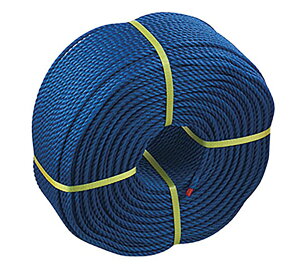 y11/18 |Cgő12{z Oä OEh[v6mm×200m [v̂  wZ ̈   i  ^ ̈ NG[V }[LO  OEh Z S2879